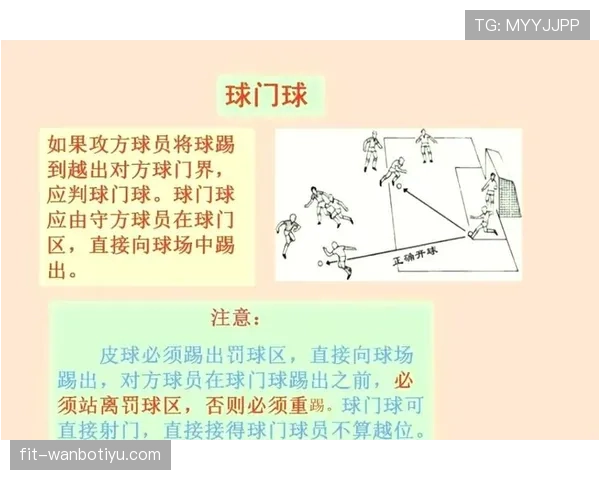 球门球判罚规则详解与实际执行标准解析